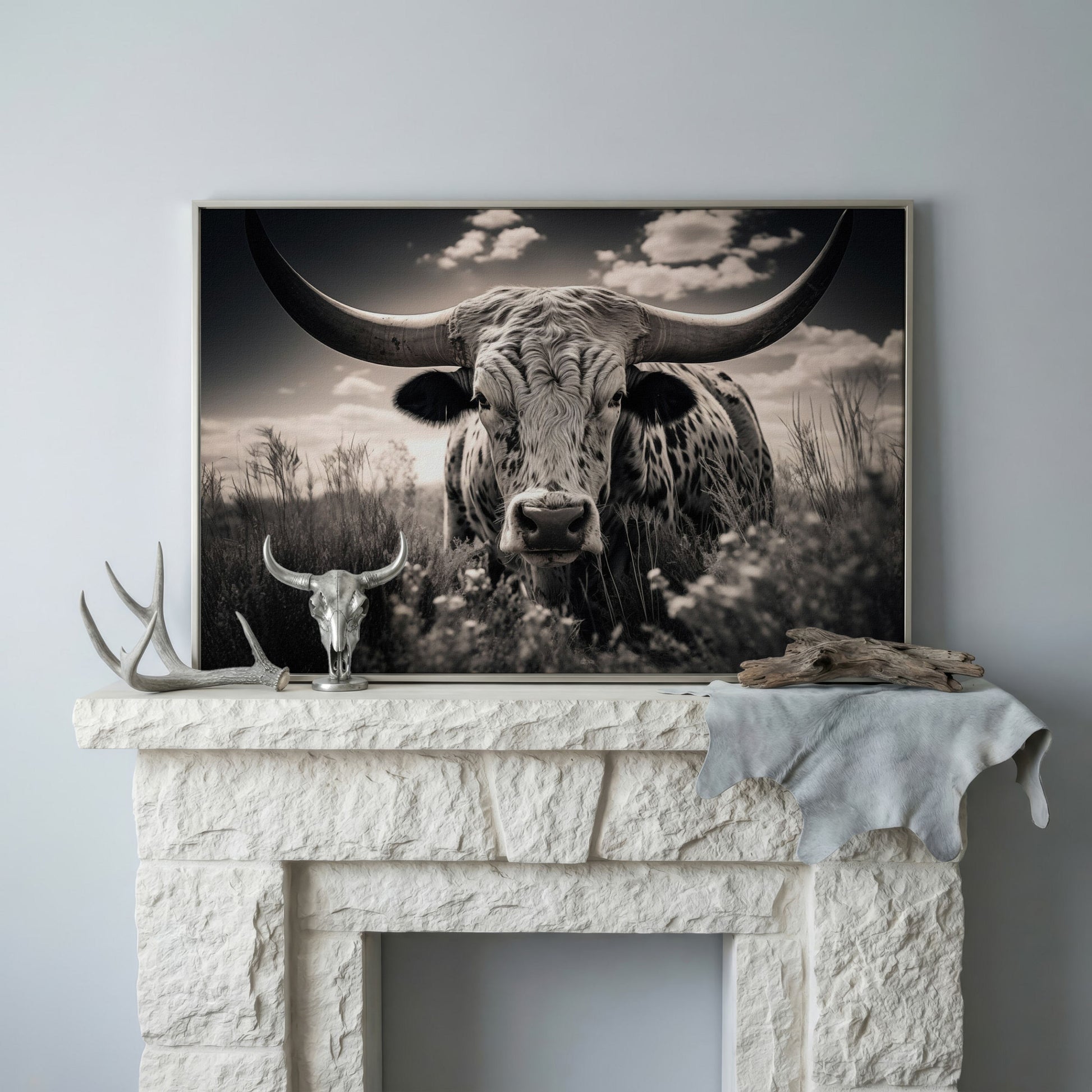 Texas Longhorn Canvas Print in Black and White in silver floating frame