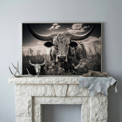 Texas Longhorn Canvas Print in Black and White in silver floating frame