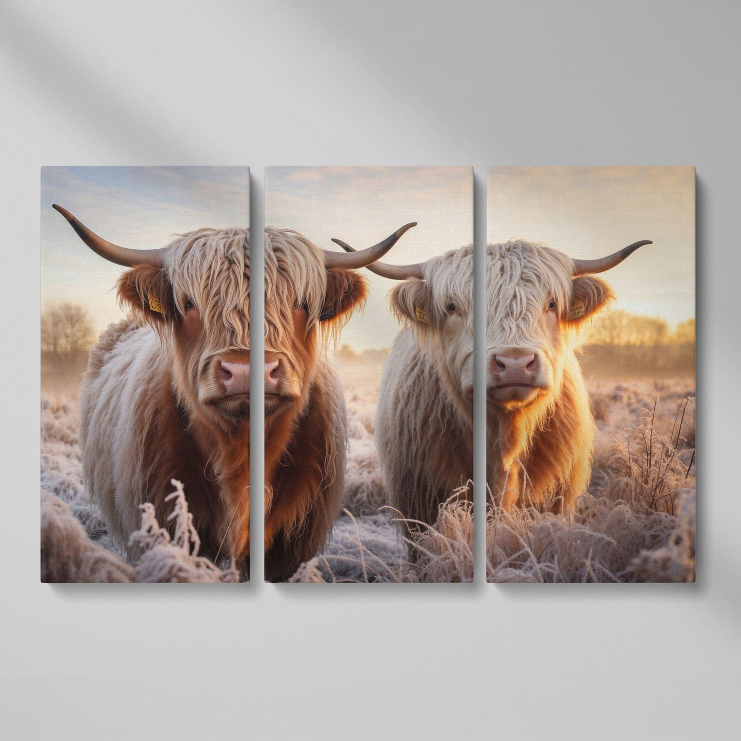 Highland Cow Pair Farmhouse Canvas Art as 3-panel split version