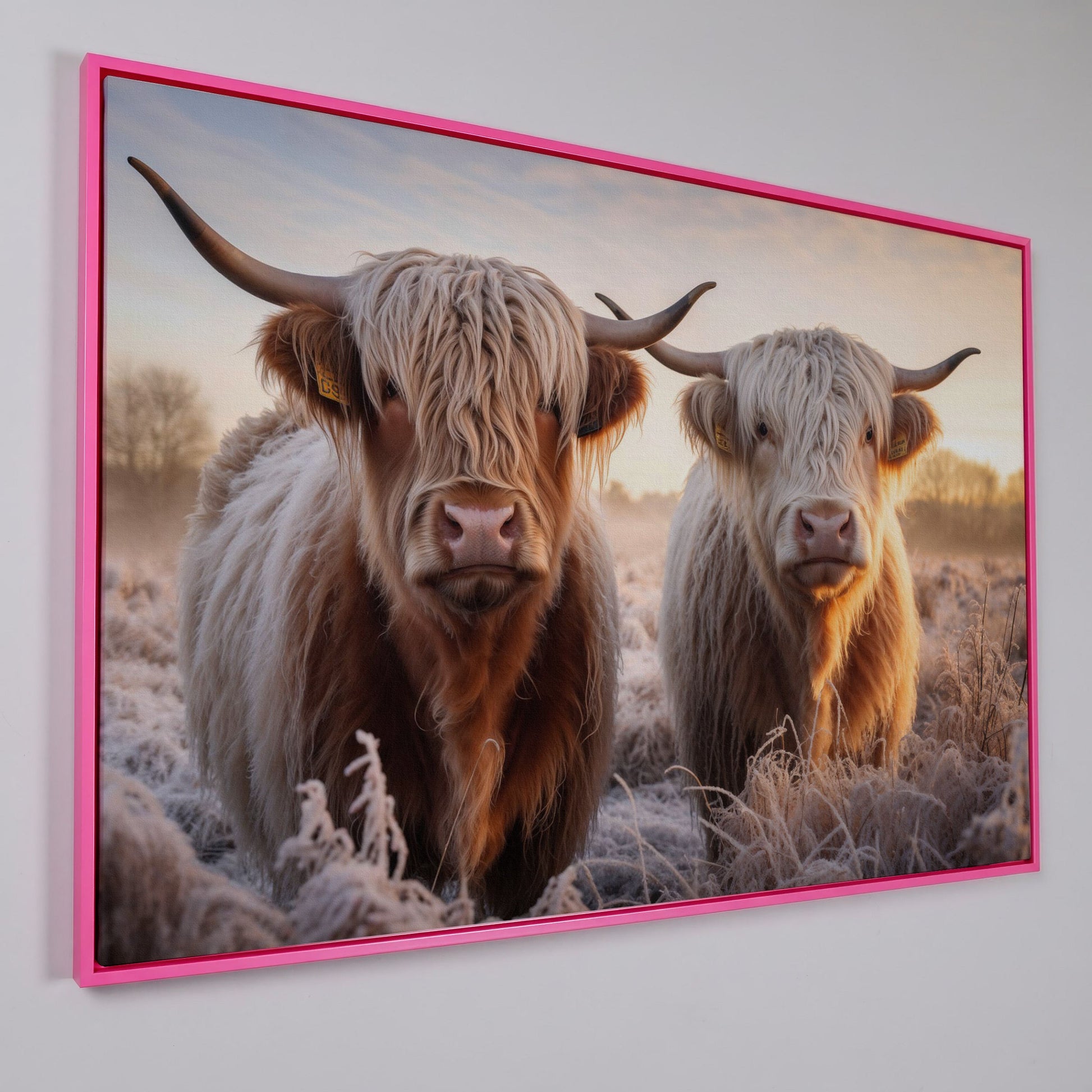 Highland Cow Pair Farmhouse Canvas Art in pink floating frame