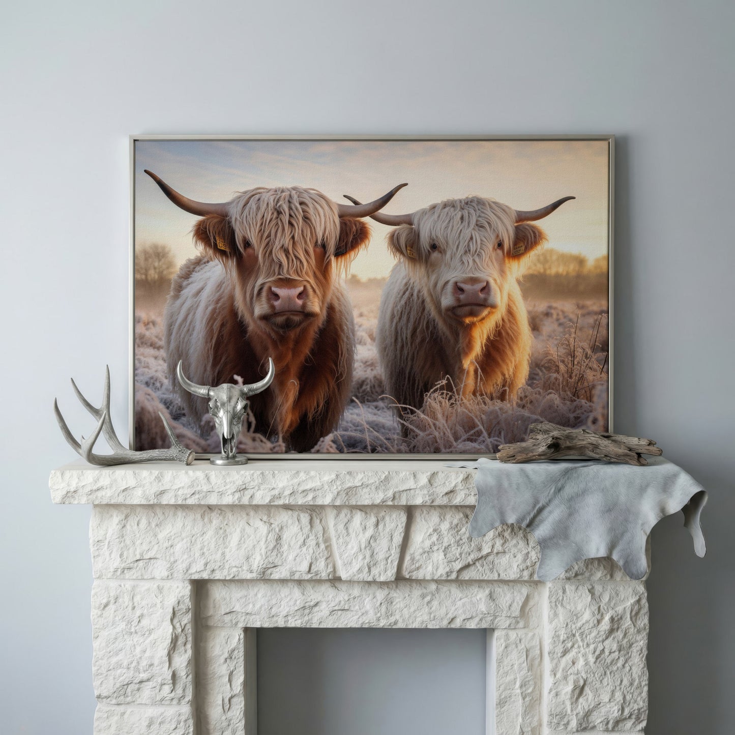 Highland Cow Pair Farmhouse Canvas Art in silver floating frame
