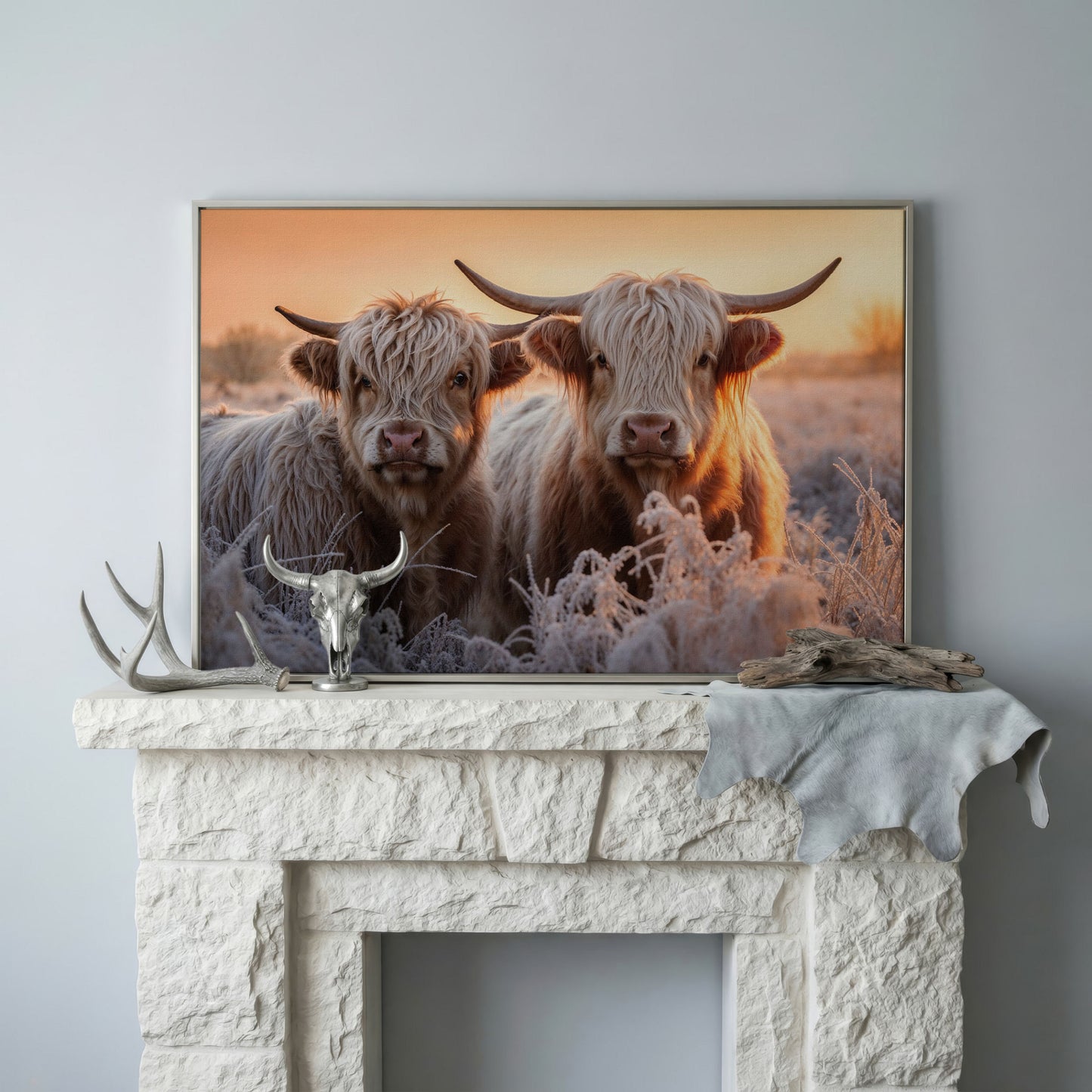 White Scottish Highlanders in Frost Landscape Canvas in silver floating frame