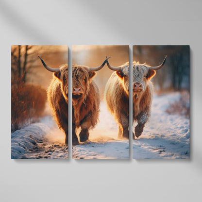 Highland Cows Running in Snow Canvas as 3-panel split version