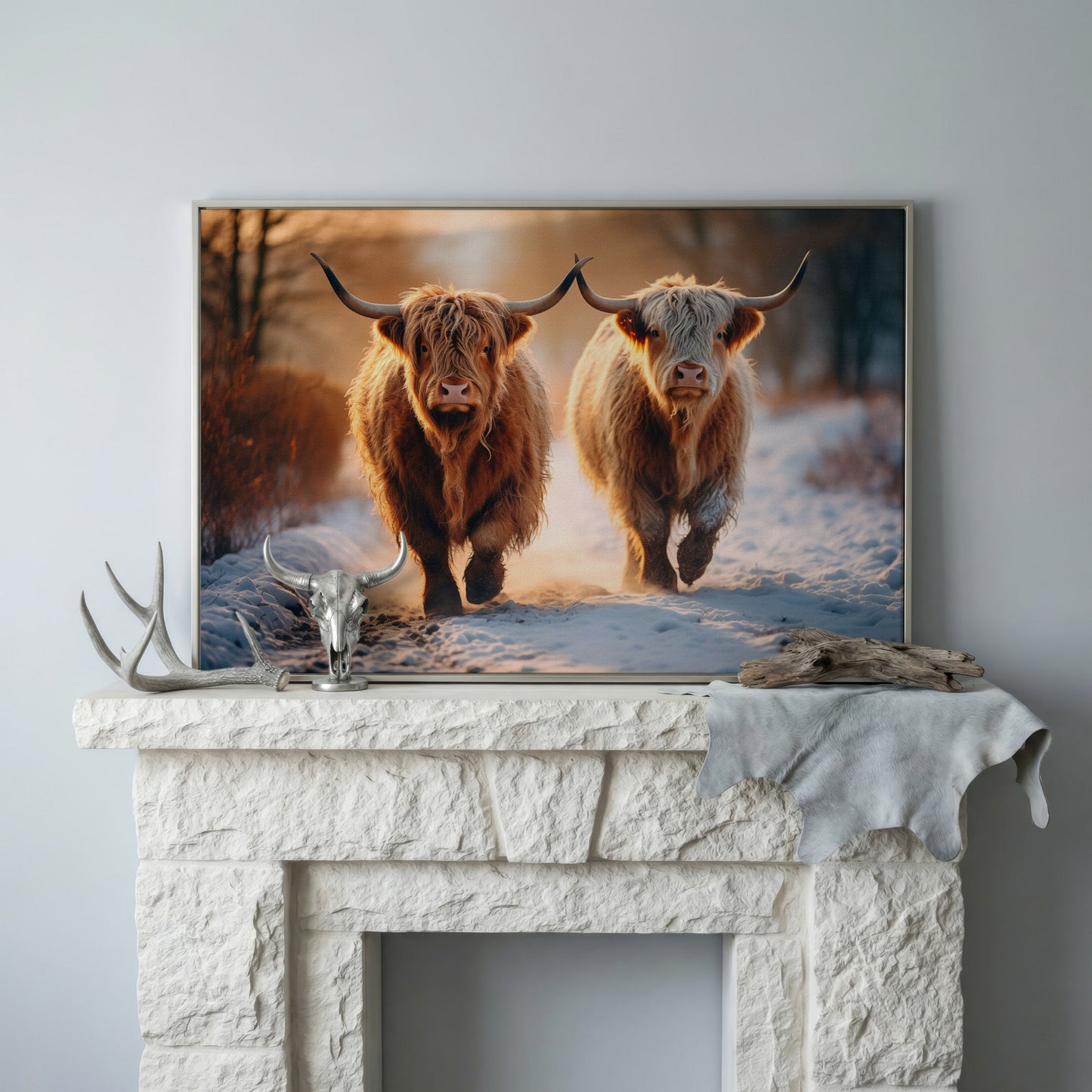 Highland Cows Running in Snow Canvas in silver floating frame