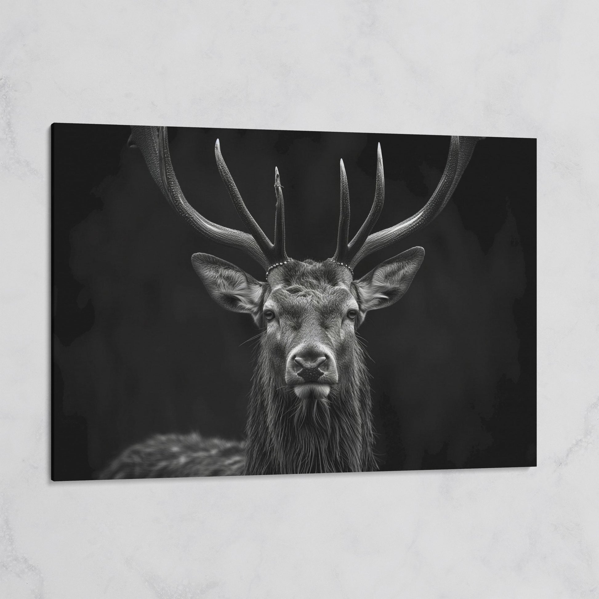 Black & White Stag Portrait Canvas on gallery wrap