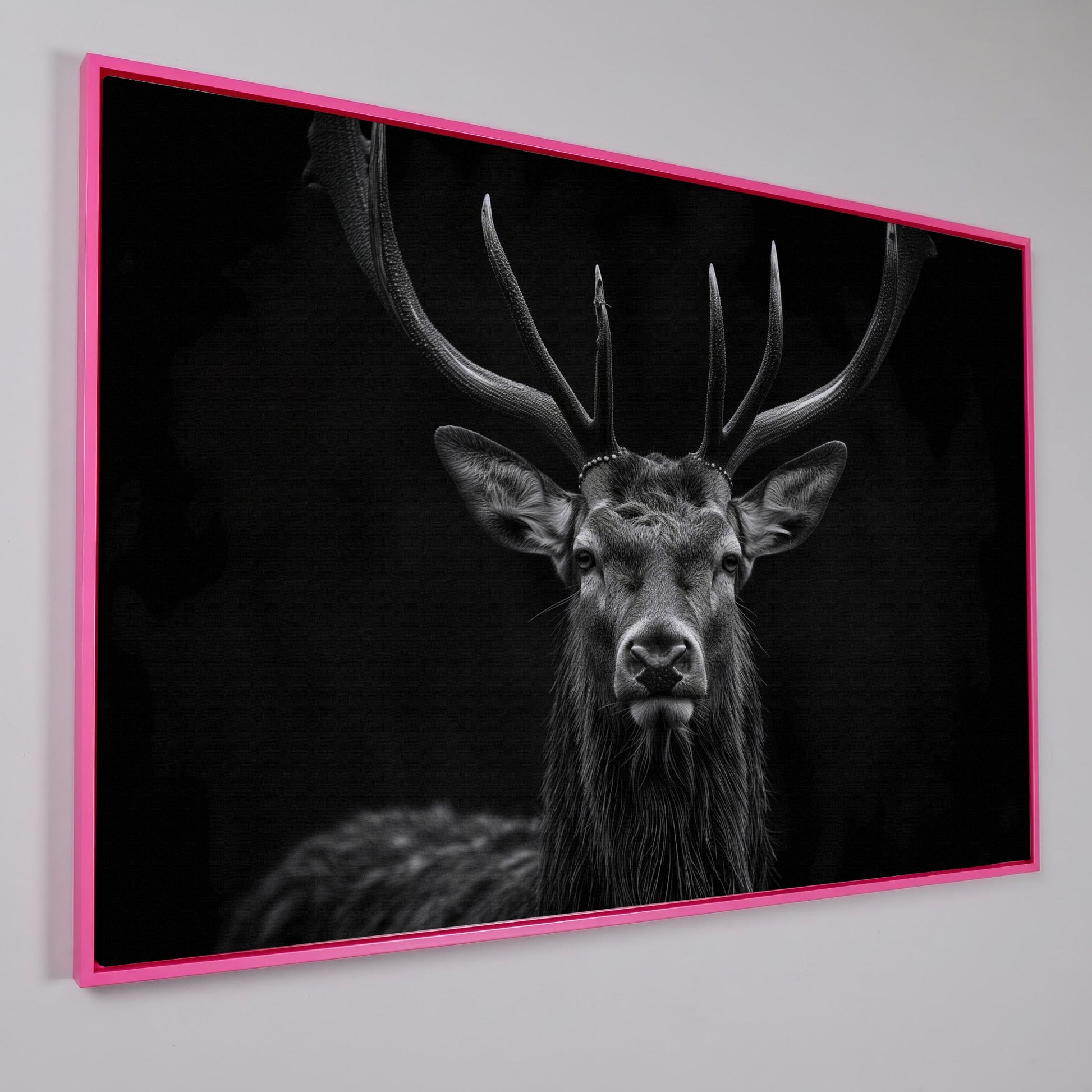 Black & White Stag Portrait Canvas in pink floating frame