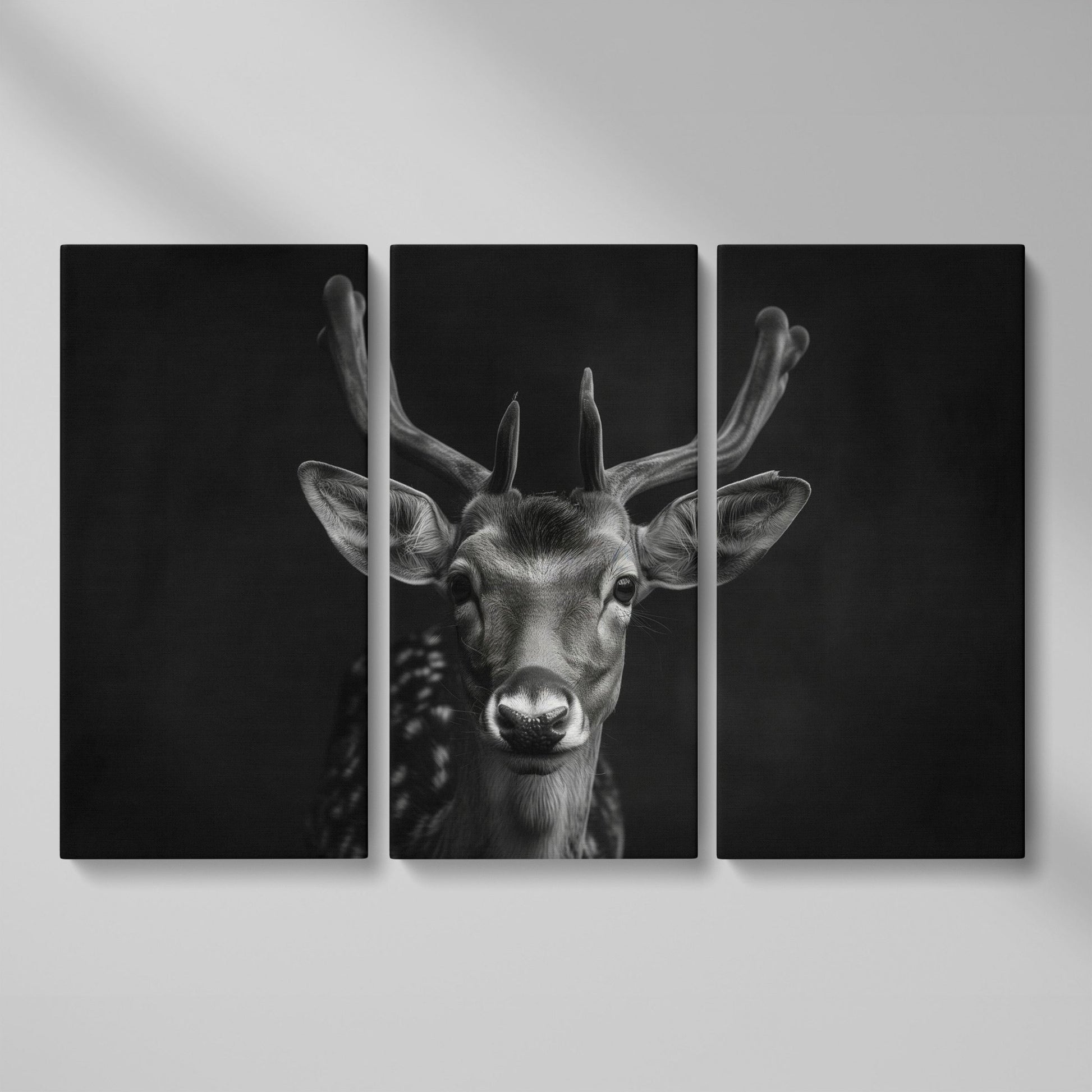 Fawn Portrait Black and White Canvas Print as 3-panel split version