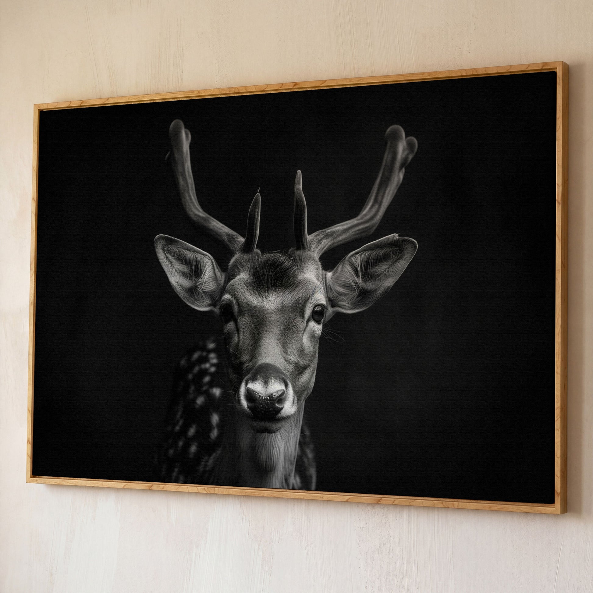 Fawn Portrait Black and White Canvas Print shown in white oak floating frame