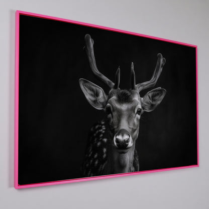 Fawn Portrait Black and White Canvas Print in pink floating frame