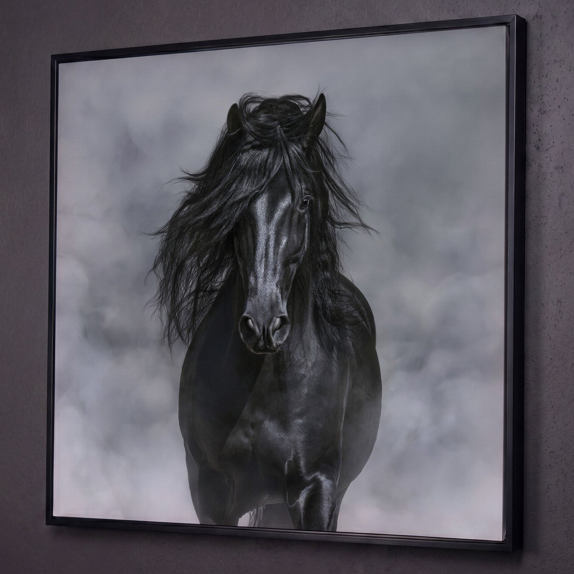 Noble Horse with Flowing Mane Canvas Print shown in black floating frame