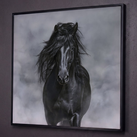 Noble Horse with Flowing Mane Canvas Print shown in black floating frame