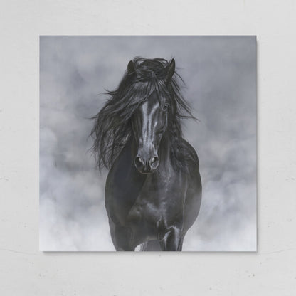 Noble Horse with Flowing Mane Canvas Print on gallery wrap