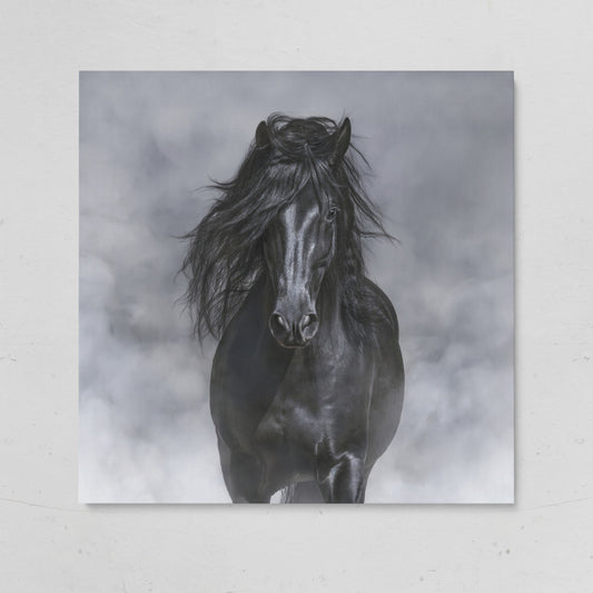 Noble Horse with Flowing Mane Canvas Print on gallery wrap