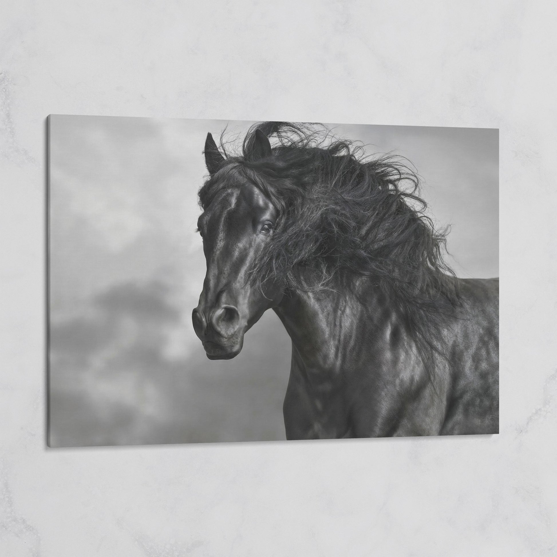 Wild Horse in Black and White Canvas Print on gallery wrap