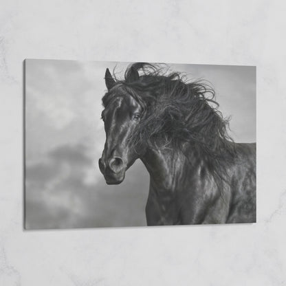 Wild Horse in Black and White Canvas Print on gallery wrap