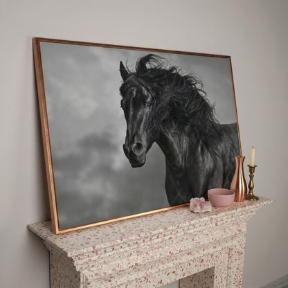 Wild Horse in Black and White Canvas Print in rose gold floating frame