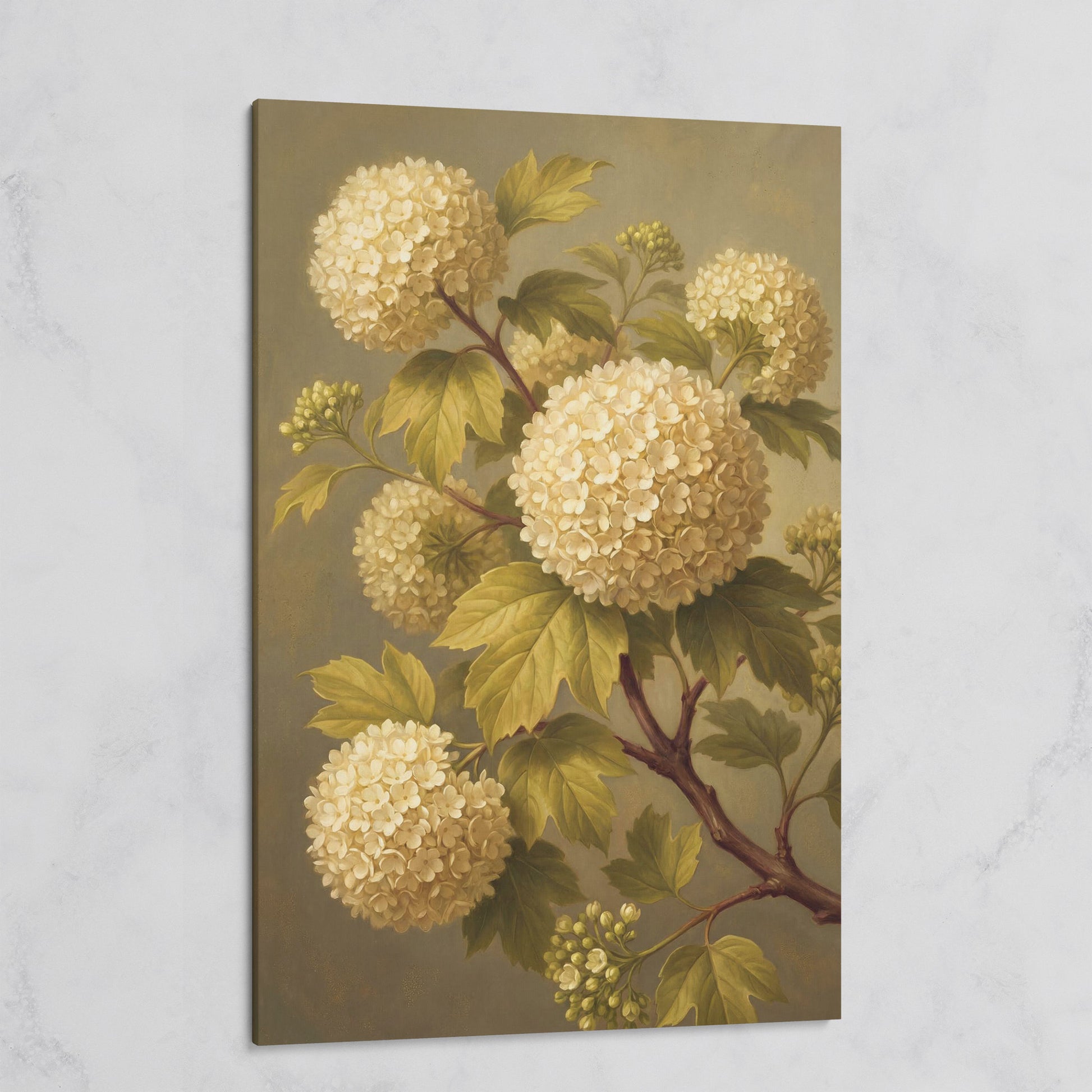 Snowball Viburnum Botanical Canvas Art, Sage Green Floral Portrait on gallery wrap