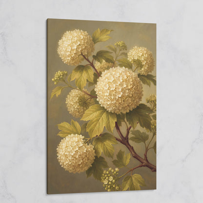 Snowball Viburnum Botanical Canvas Art, Sage Green Floral Portrait on gallery wrap