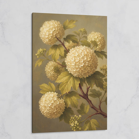 Snowball Viburnum Botanical Canvas Art, Sage Green Floral Portrait on gallery wrap