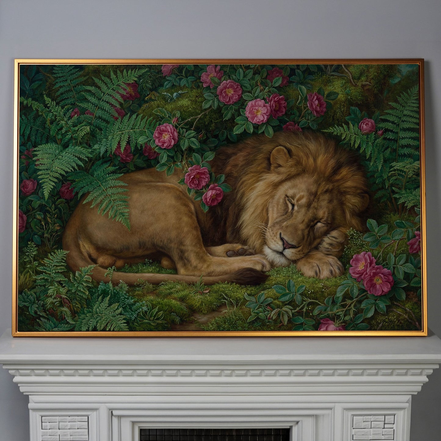 Sleeping Lion in Pink Roses and Foliage. Canvas Wall Art in antique gold floating frame