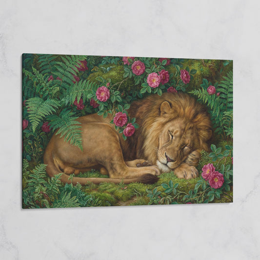 Sleeping Lion in Pink Roses and Foliage. Canvas Wall Art on gallery wrap