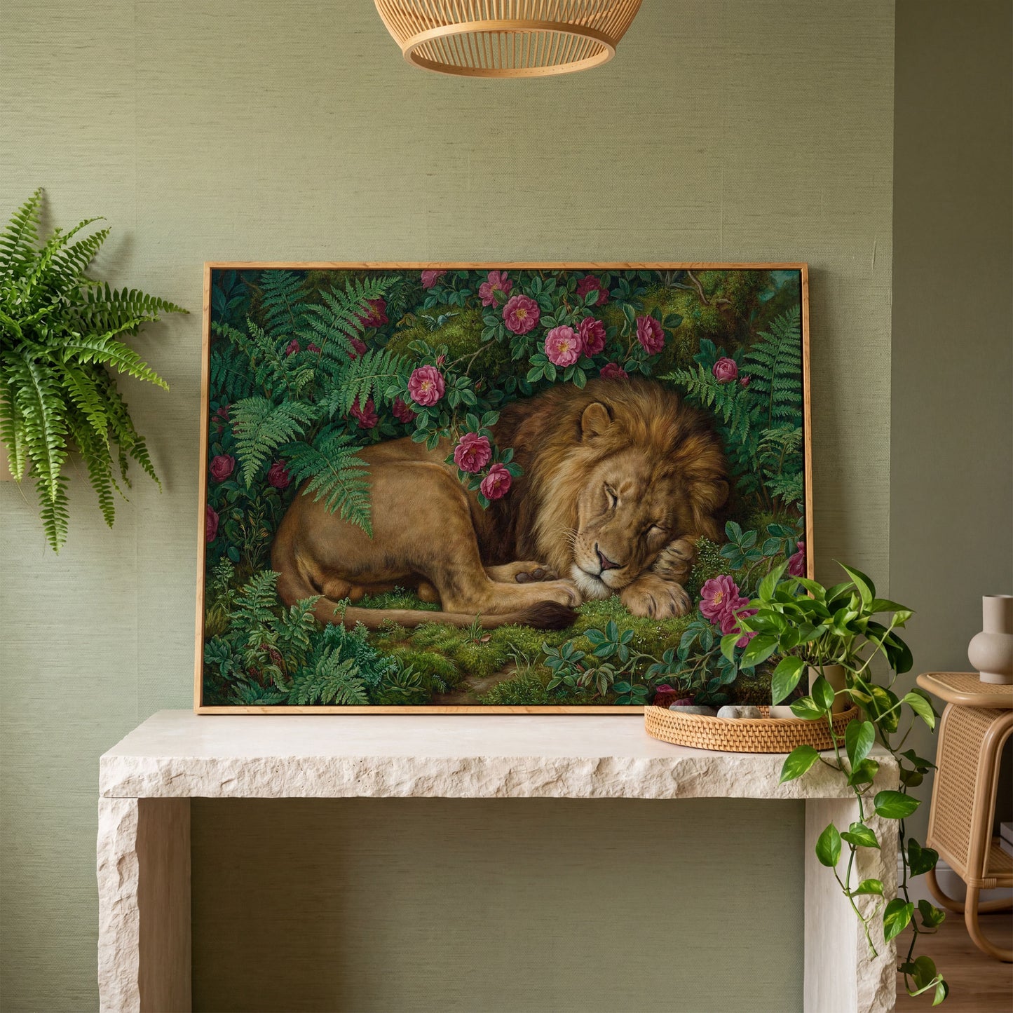 Sleeping Lion in Pink Roses and Foliage. Canvas Wall Art in white oak floating frame