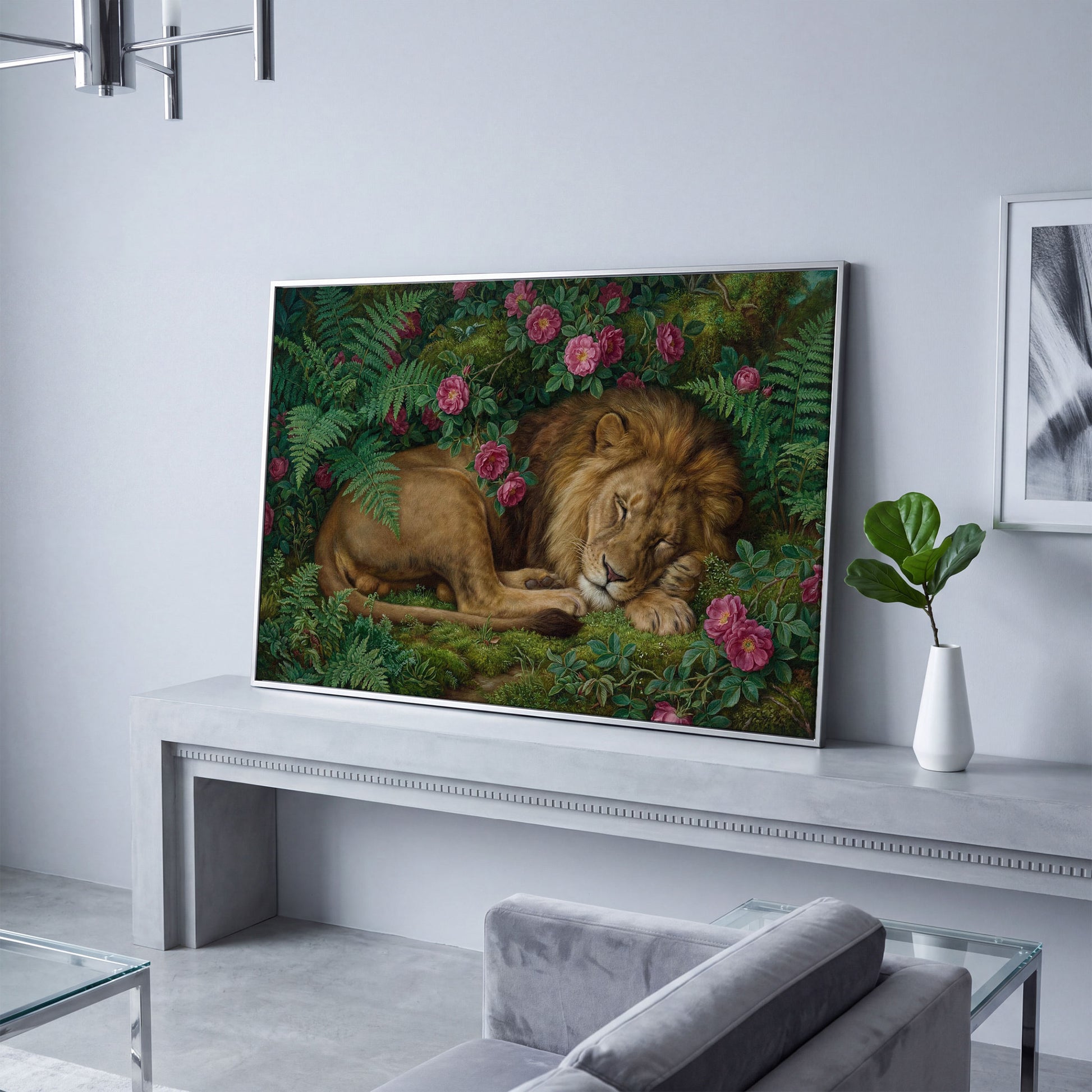 Sleeping Lion in Pink Roses and Foliage. Canvas Wall Art in silver floating frame