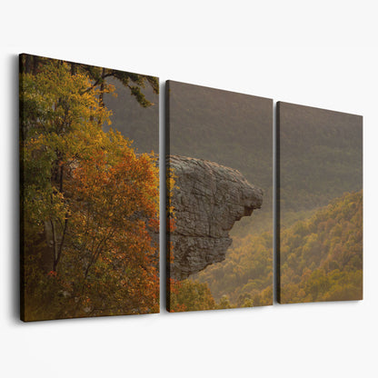 Ozark National Forest Sunrise Canvas as 3-panel split version