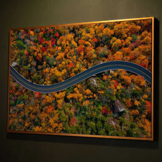 Blue Ridge Parkway Mountain Canvas Print shown in antique gold floating frame
