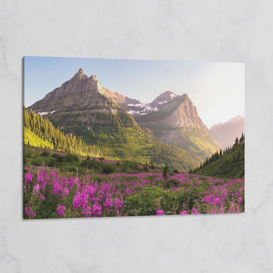 Field of Wildflowers with Rocky Mountains Canvas on gallery wrap