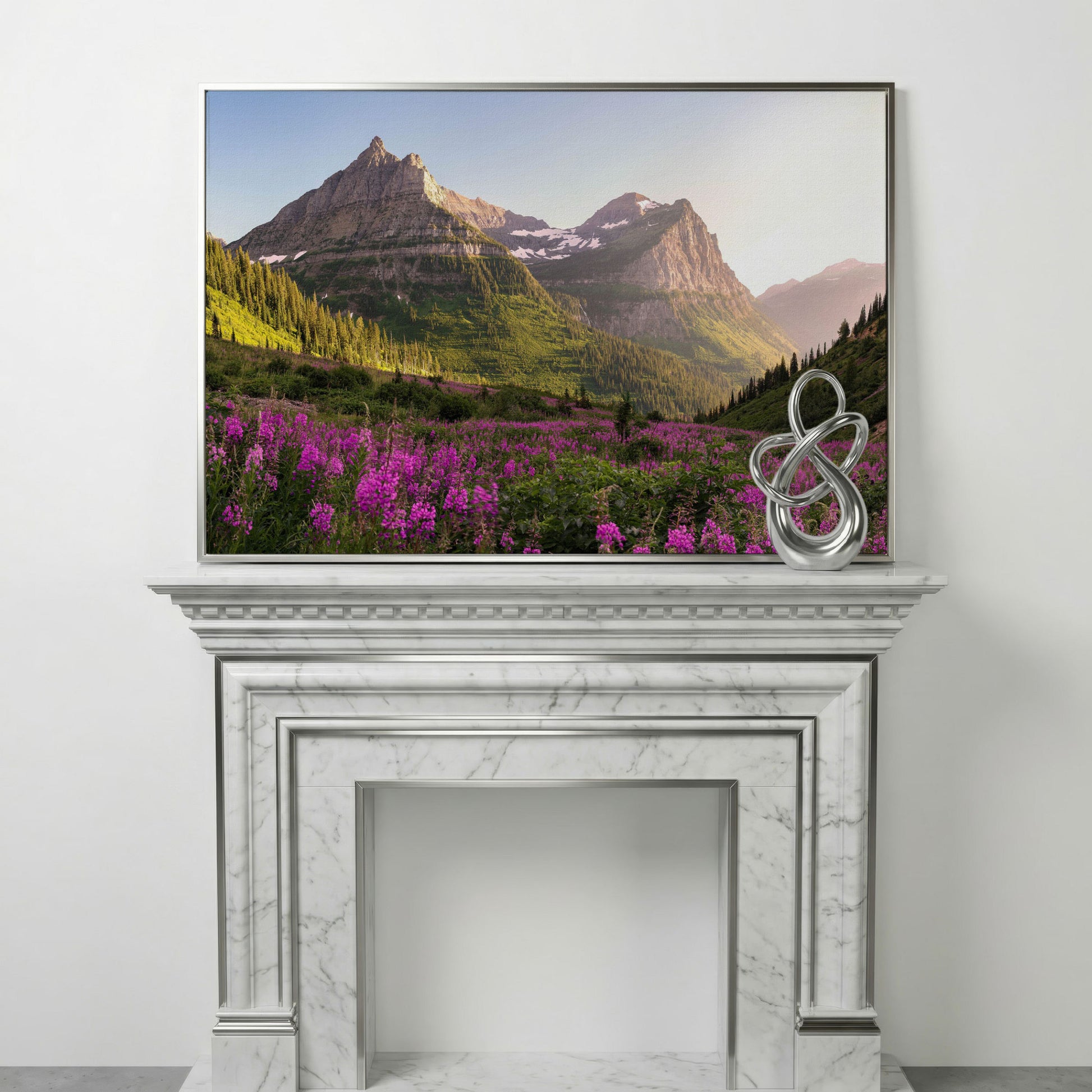 Field of Wildflowers with Rocky Mountains Canvas in silver floating frame