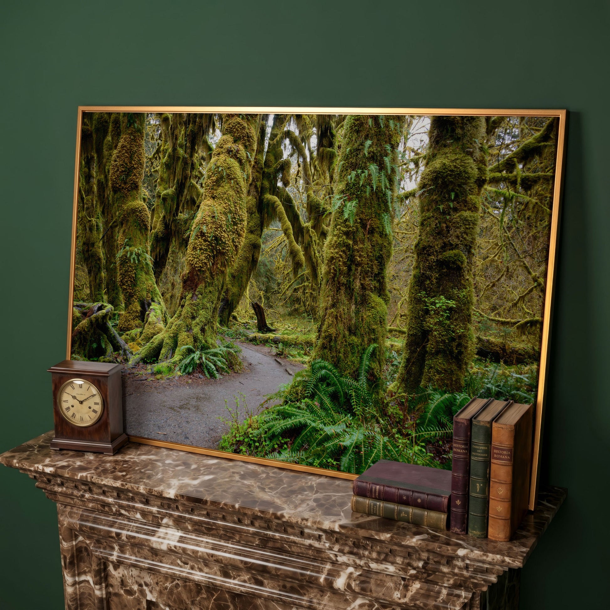 Ferns and Trail in Hoh Rainforest Landscape Canvas in antique gold floating frame