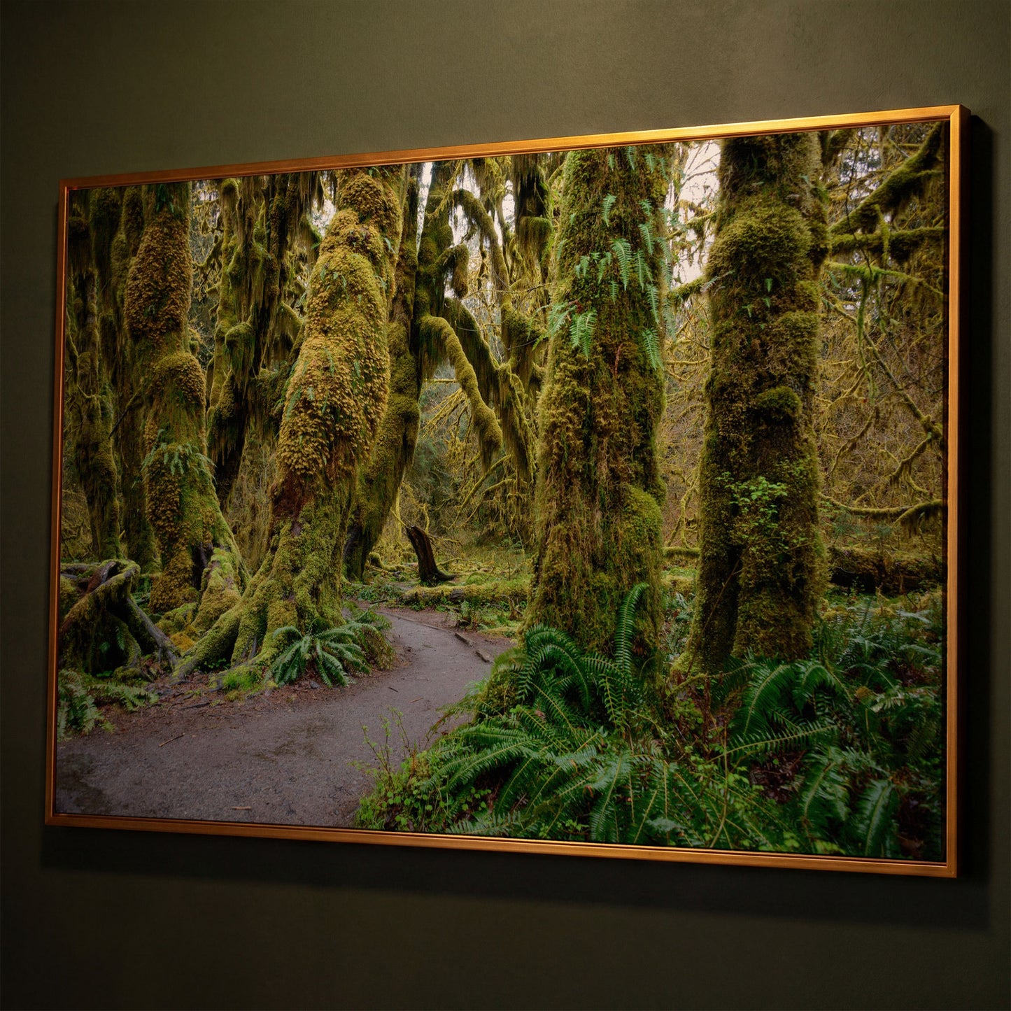 Ferns and Trail in Hoh Rainforest Landscape Canvas shown in antique gold floating frame