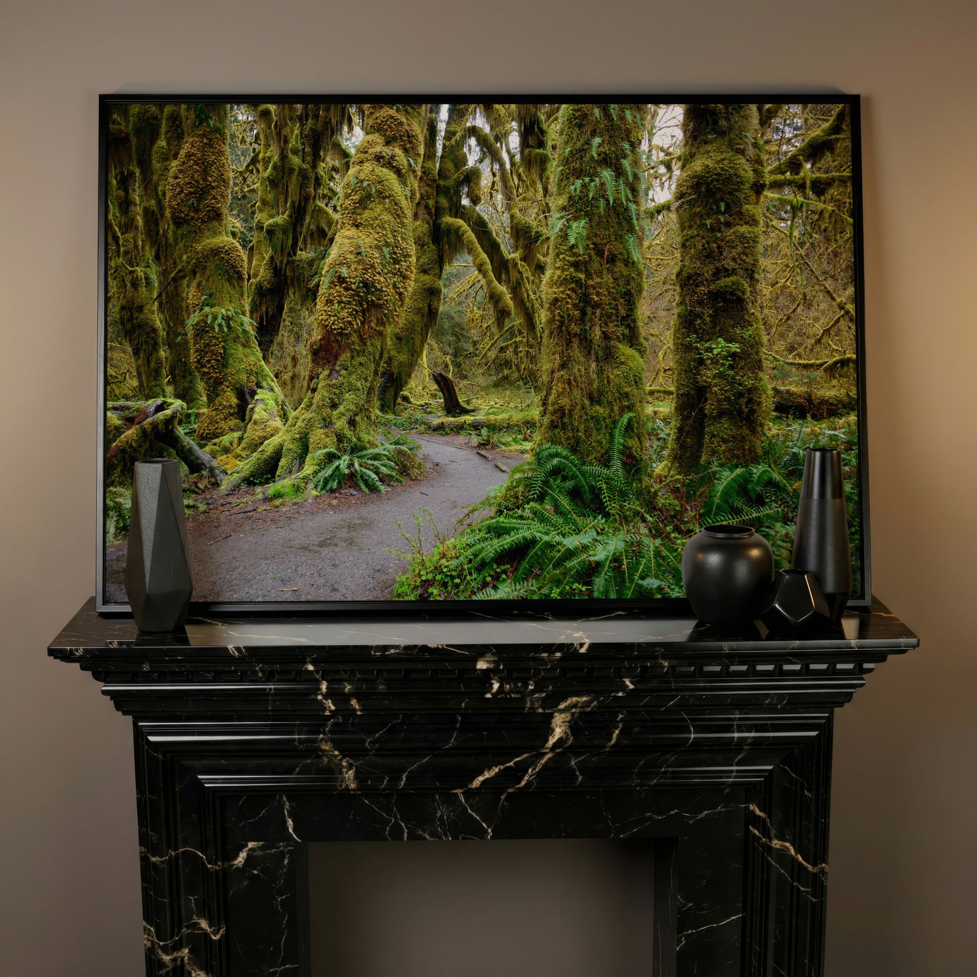 Ferns and Trail in Hoh Rainforest Landscape Canvas in black floating frame