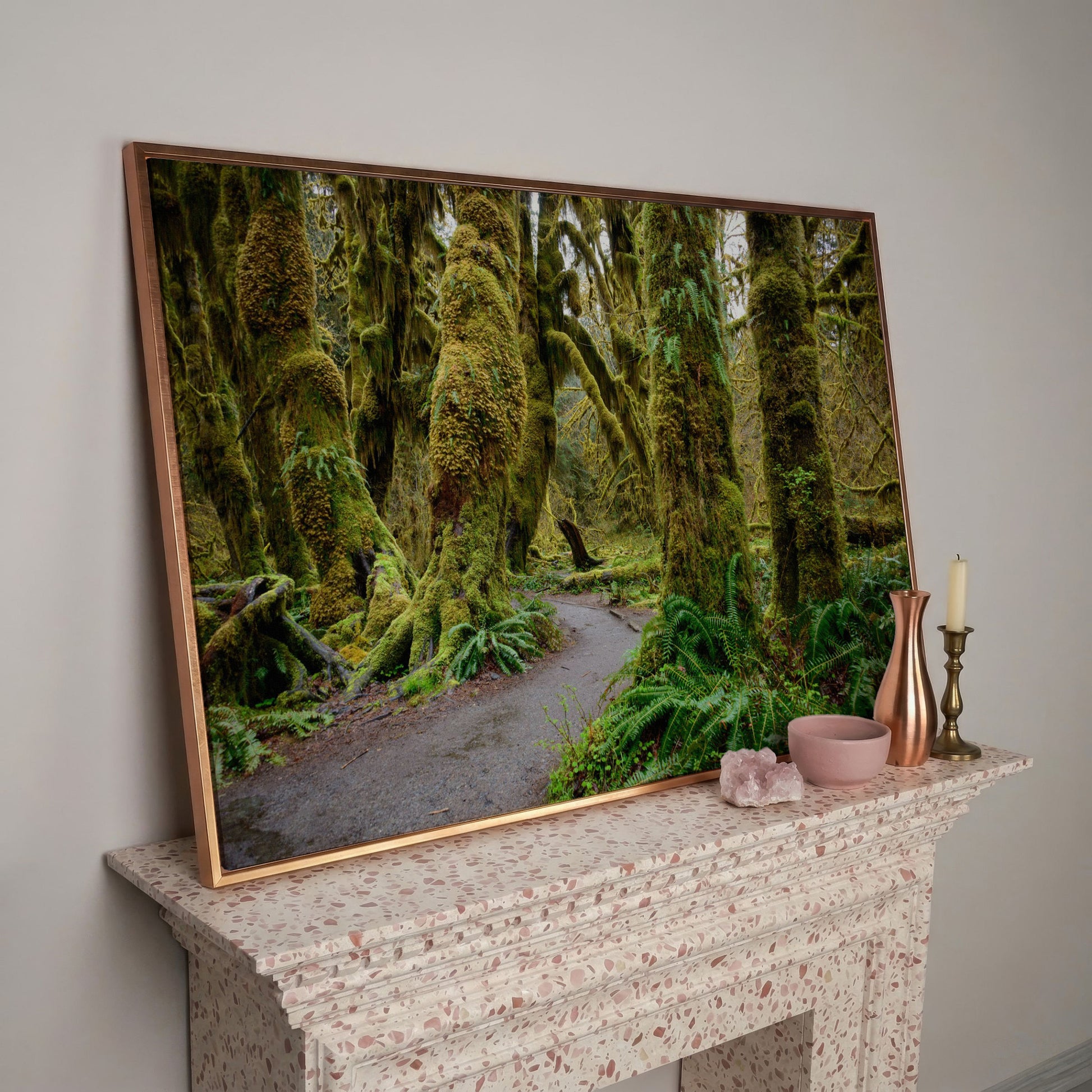 Ferns and Trail in Hoh Rainforest Landscape Canvas in rose gold floating frame