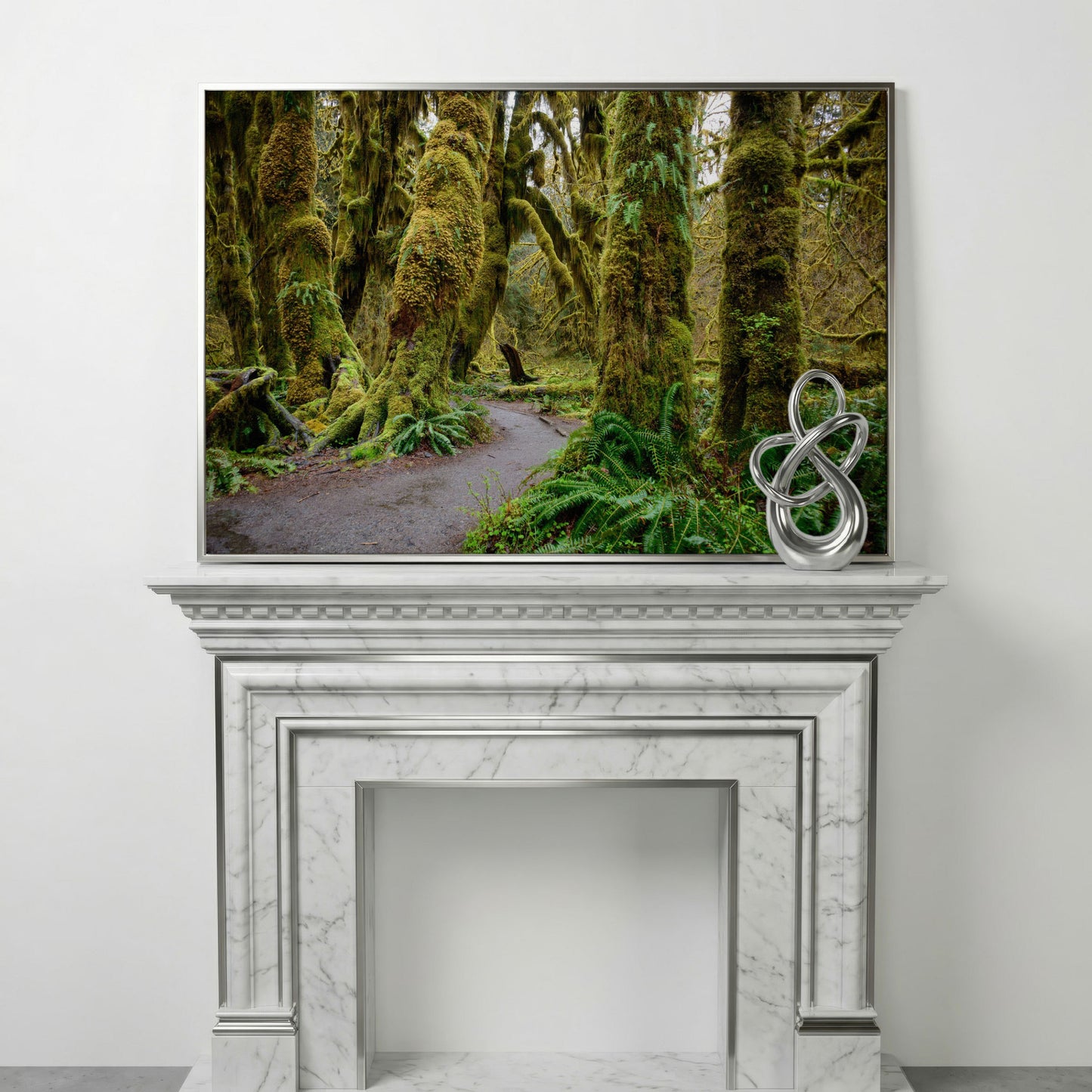 Ferns and Trail in Hoh Rainforest Landscape Canvas in silver floating frame