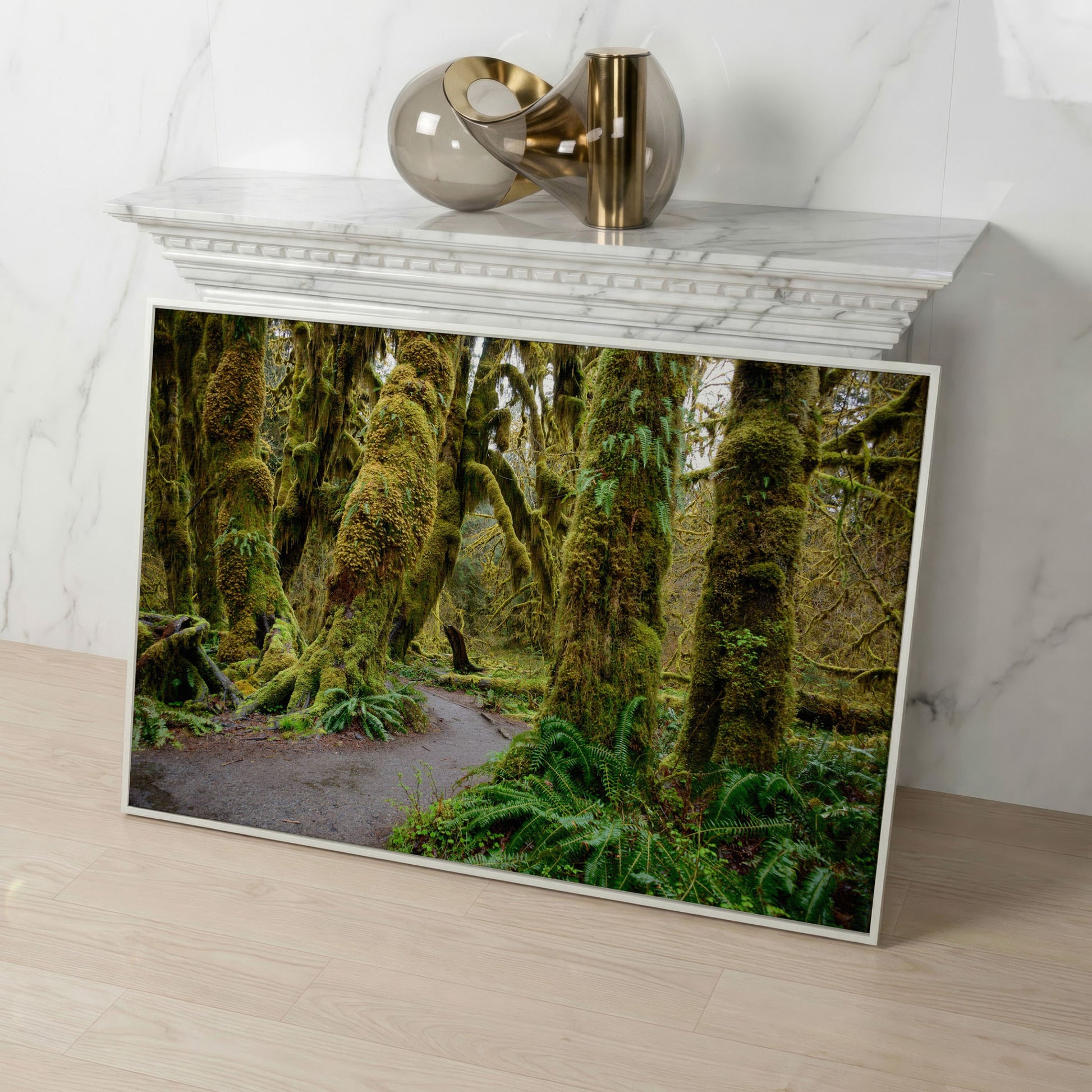Ferns and Trail in Hoh Rainforest Landscape Canvas in white floating frame