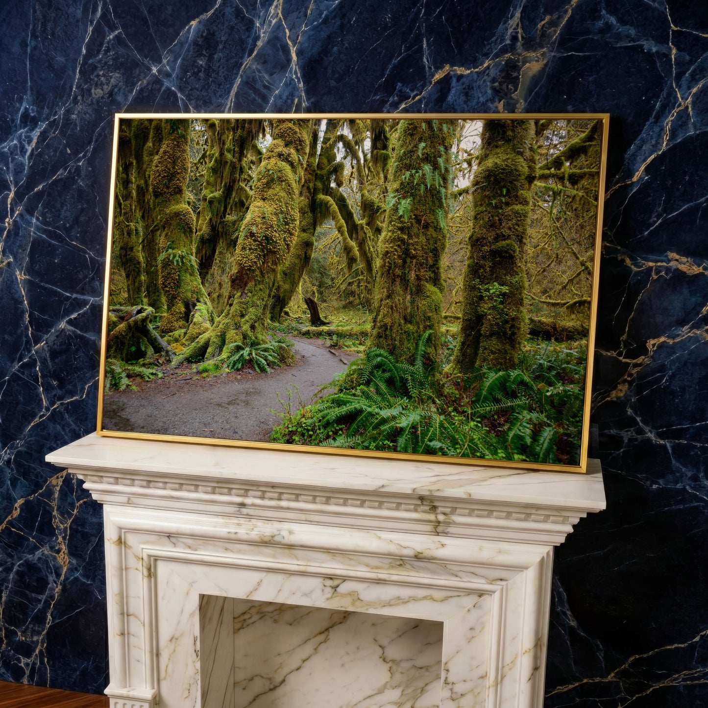 Ferns and Trail in Hoh Rainforest Landscape Canvas in yellow gold floating frame