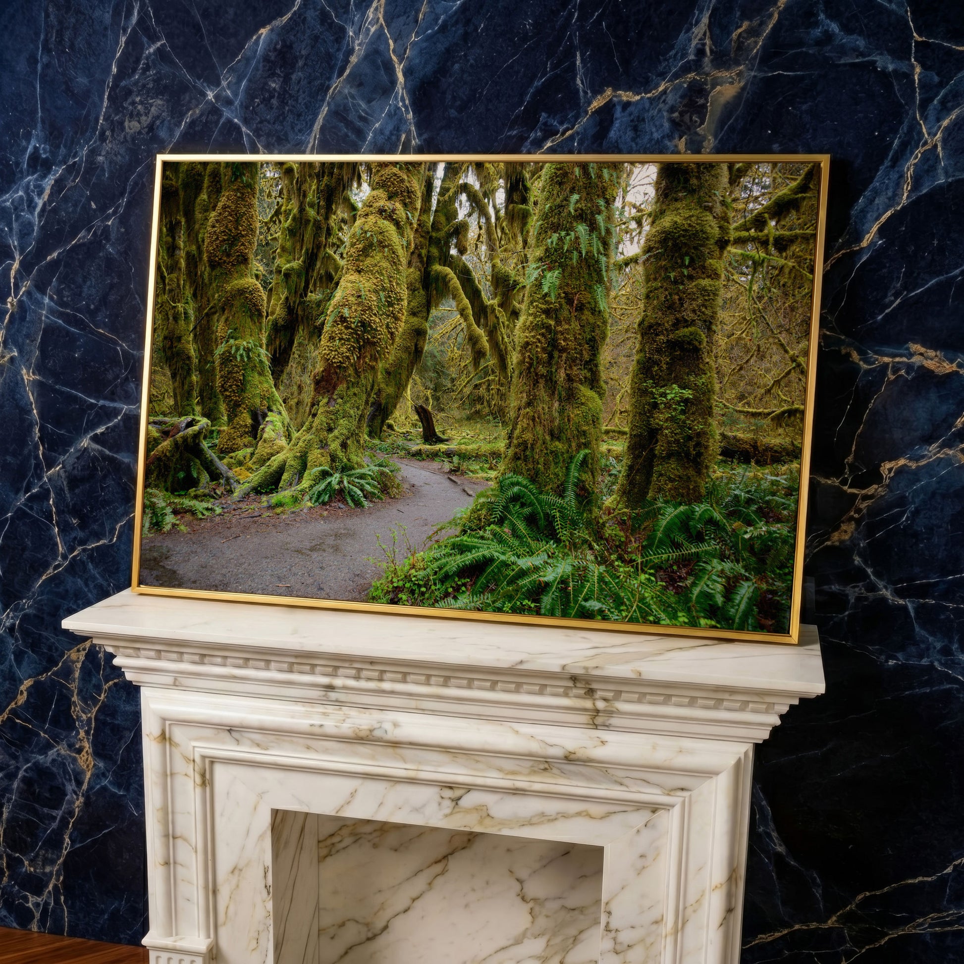Ferns and Trail in Hoh Rainforest Landscape Canvas in yellow gold floating frame