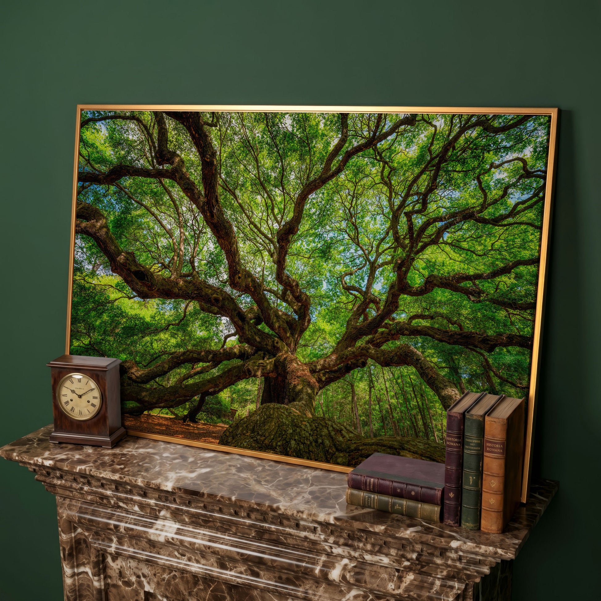 Angel Oak Tree Canvas Wall Art, Charleston Forest Photography in antique gold floating frame