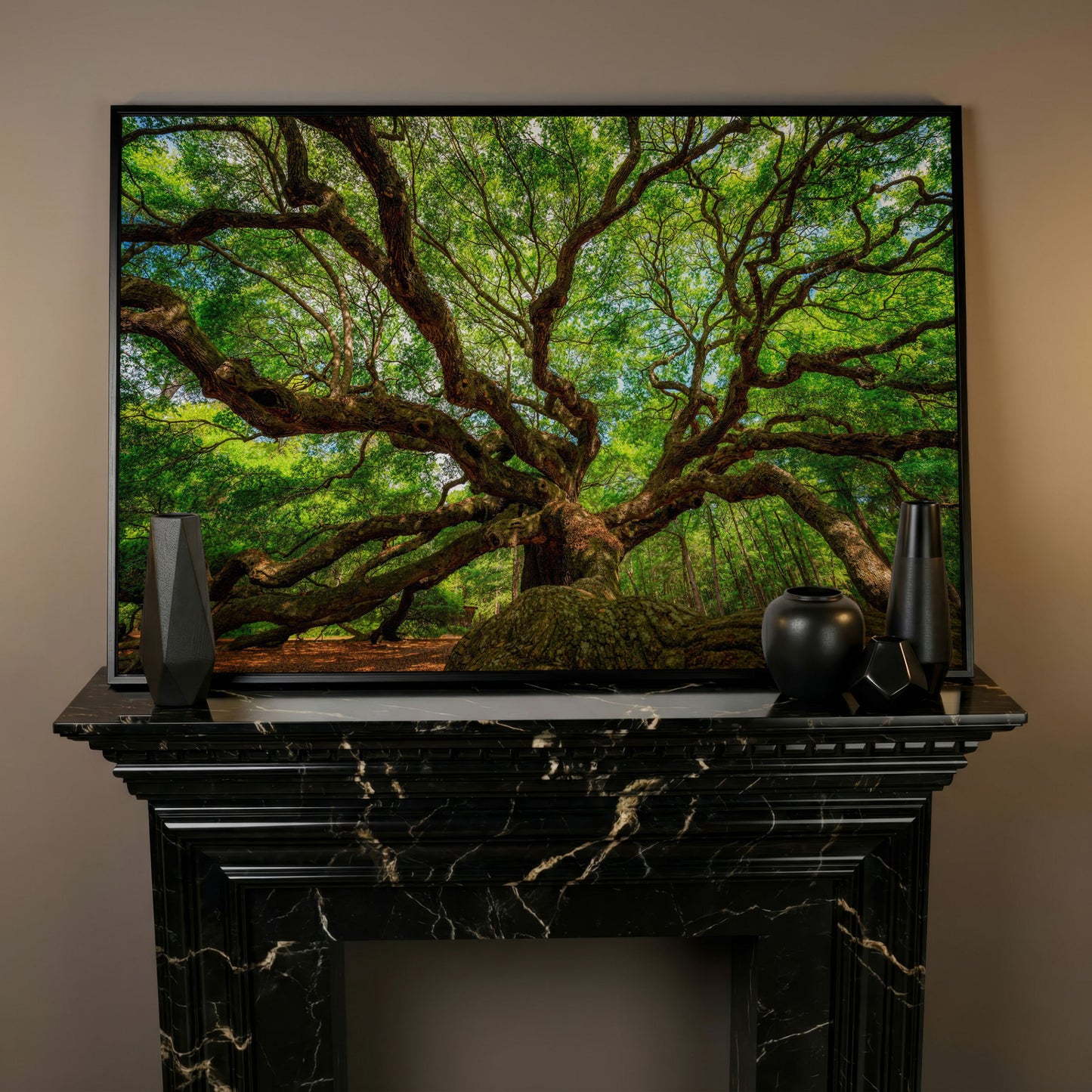 Angel Oak Tree Canvas Wall Art, Charleston Forest Photography in black floating frame