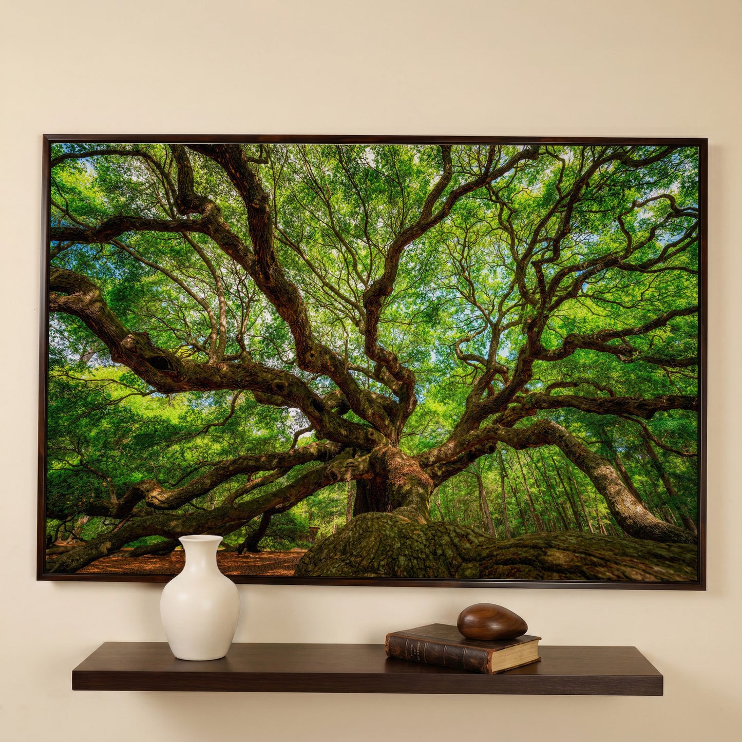 Angel Oak Tree Canvas Wall Art, Charleston Forest Photography in dark walnut floating frame