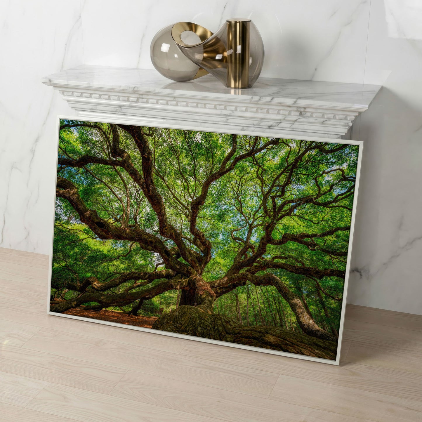 Angel Oak Tree Canvas Wall Art, Charleston Forest Photography in white floating frame