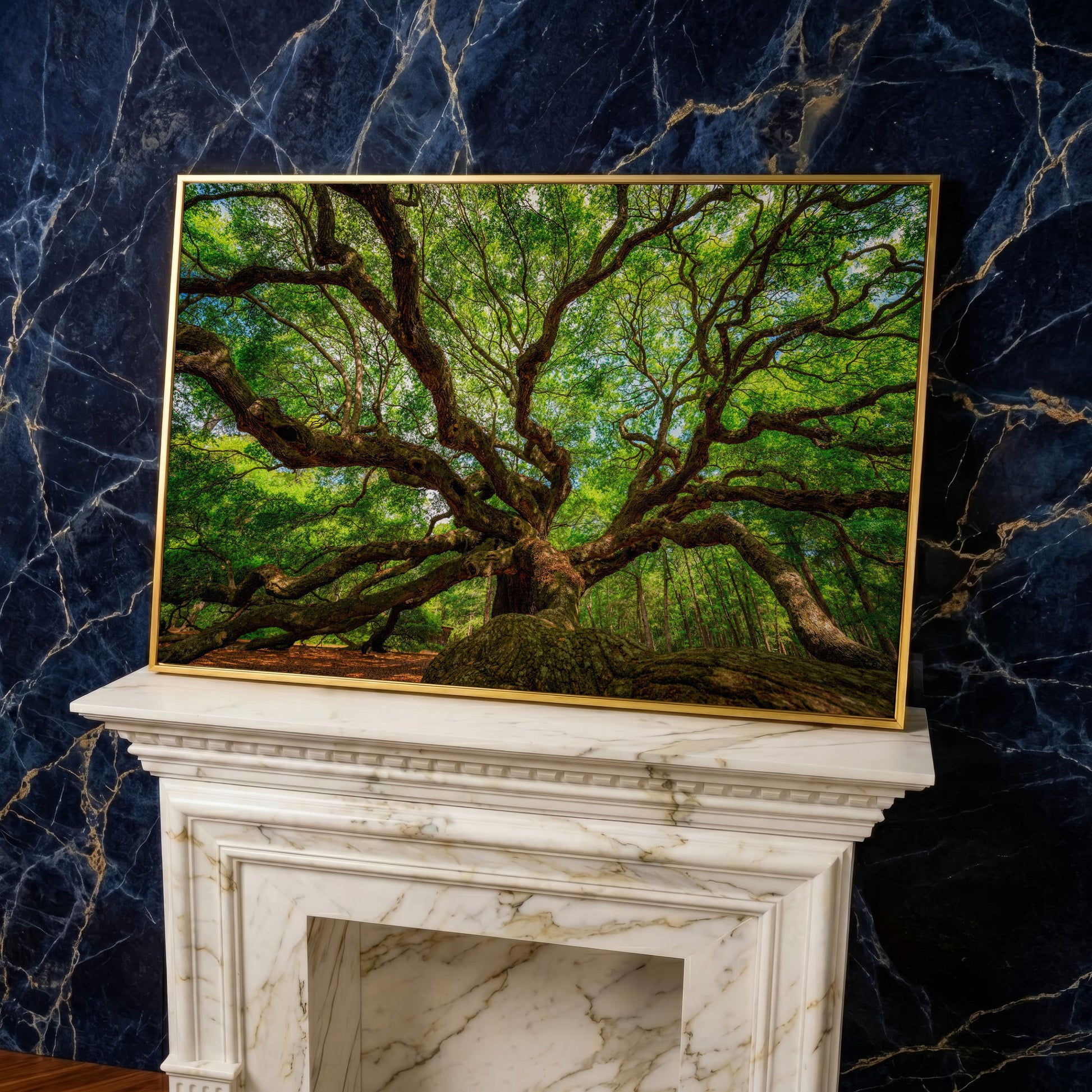 Angel Oak Tree Canvas Wall Art, Charleston Forest Photography in yellow gold floating frame