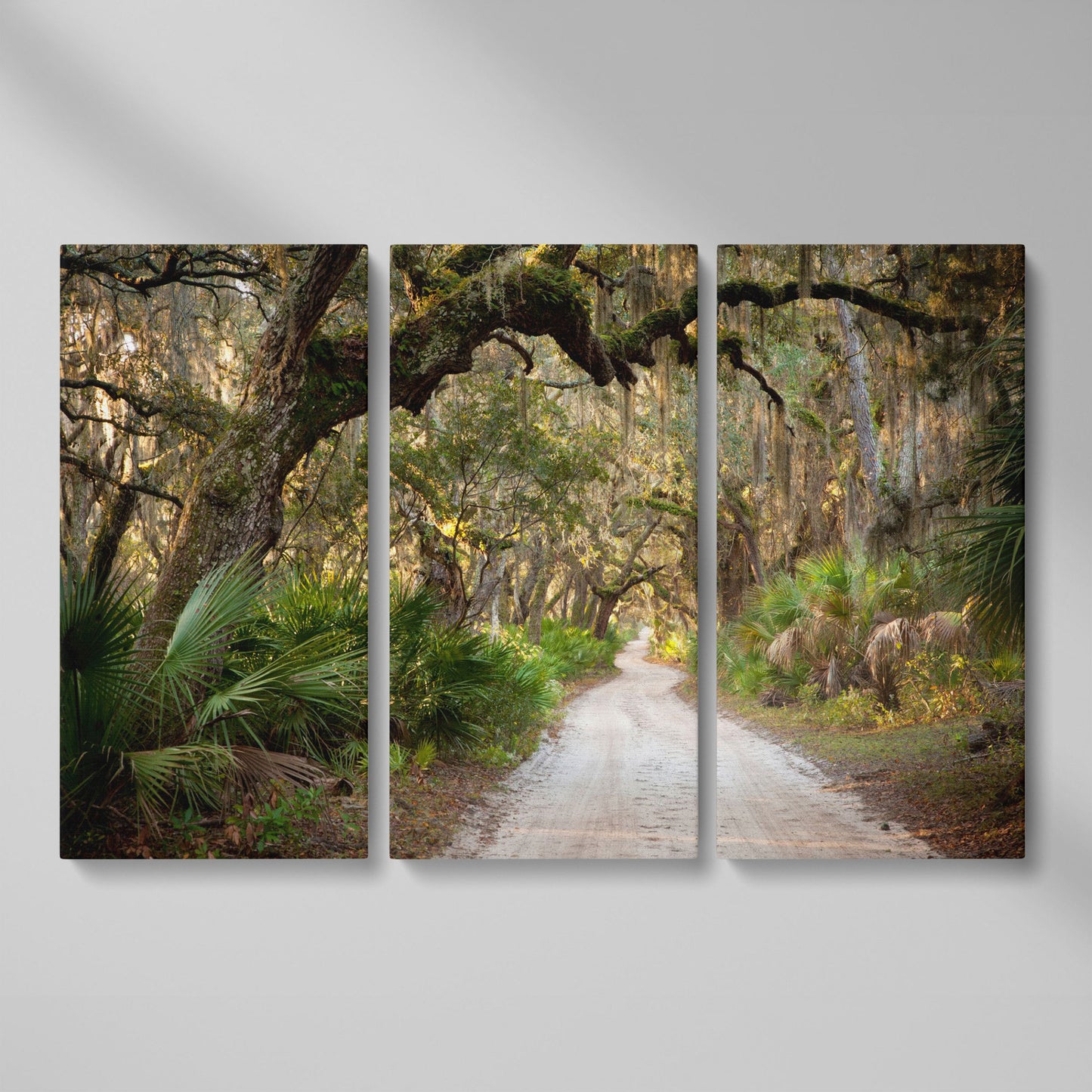 Live Oak Trees Tunnel Canvas Print with Spanish Moss as 3-panel split version
