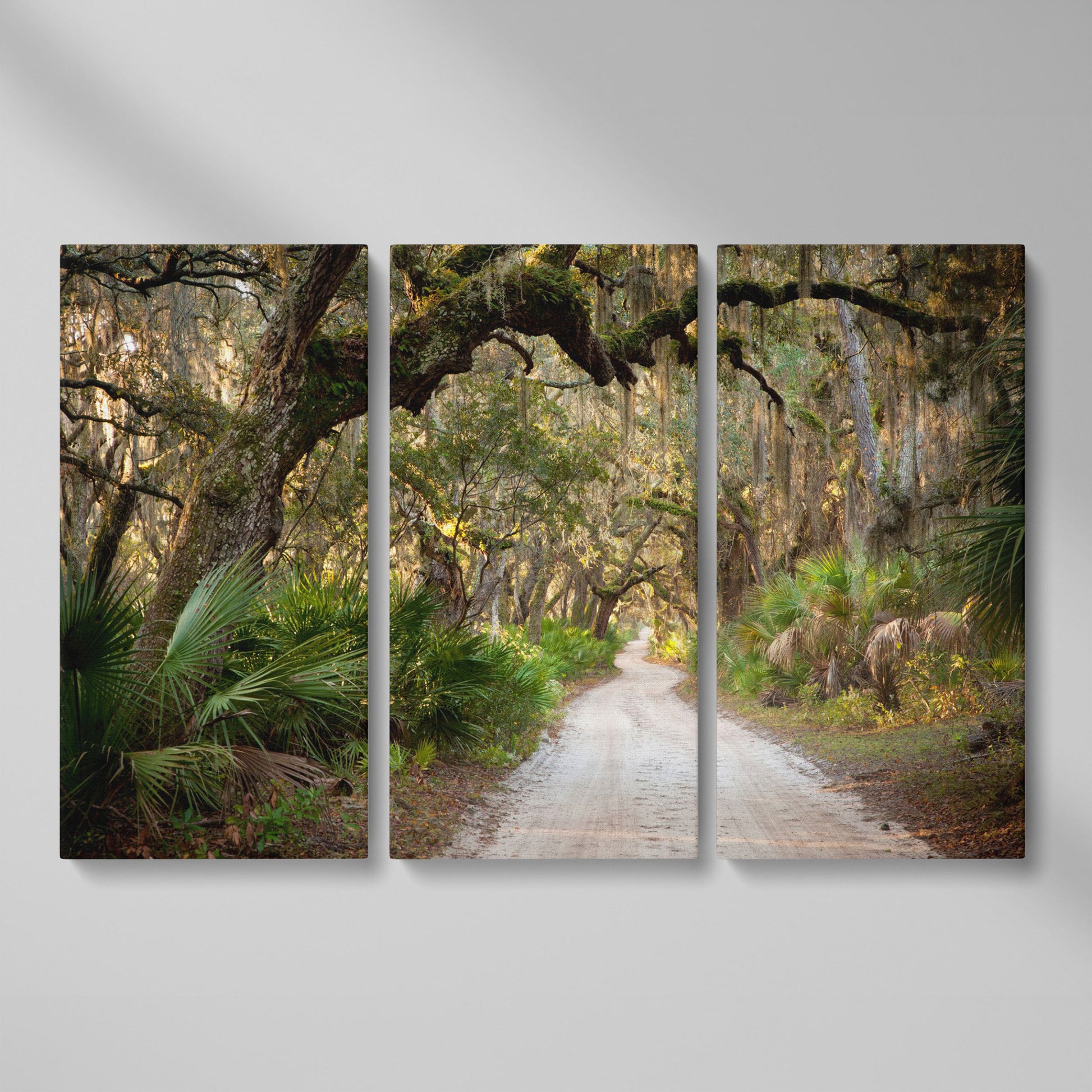 Live Oak Trees Tunnel Canvas Print with Spanish Moss as 3-panel split version