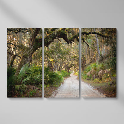 Live Oak Trees Tunnel Canvas Print with Spanish Moss as 3-panel split version