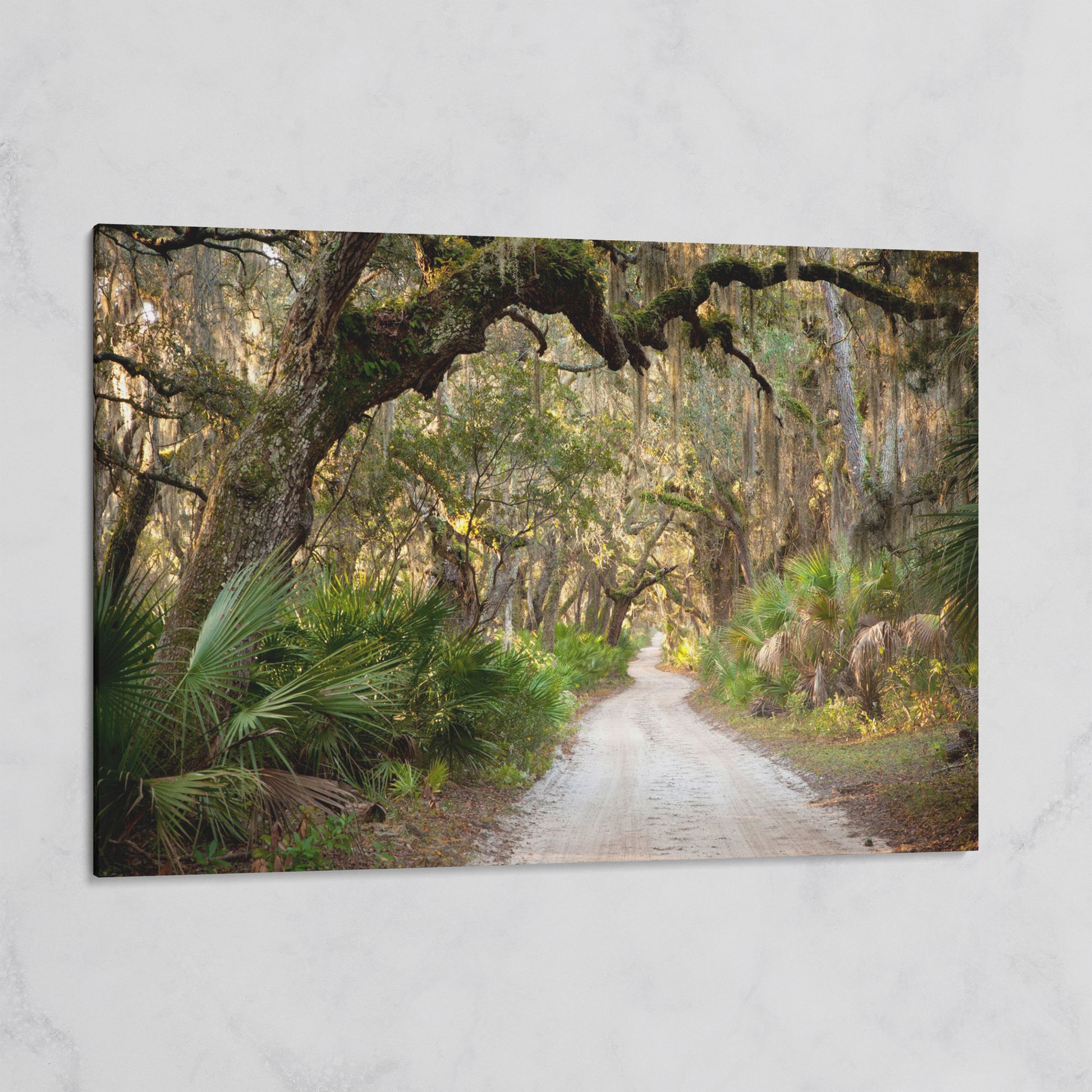 Live Oak Trees Tunnel Canvas Print with Spanish Moss on gallery wrap