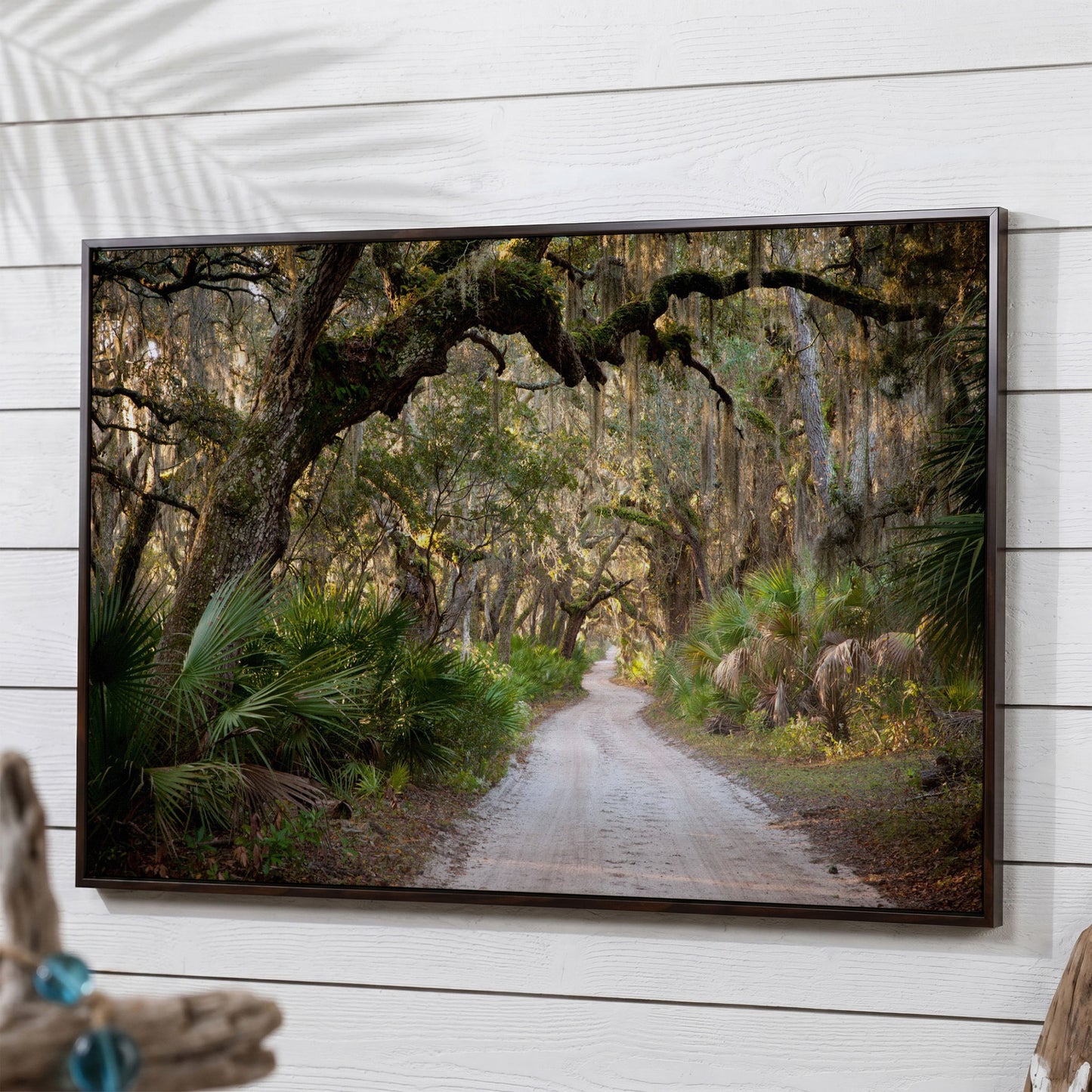 Live Oak Trees Tunnel Canvas Print with Spanish Moss in dark walnut floating frame