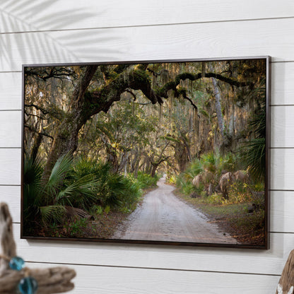 Live Oak Trees Tunnel Canvas Print with Spanish Moss in dark walnut floating frame